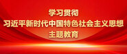 操老姑娘大骚穴视频学习贯彻习近平新时代中国特色社会主义思想主题教育_fororder_ad-371X160(2)